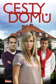 Cesty domů