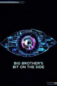 Big Brother’s Bit on the Side