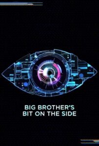 Big Brother’s Bit on the Side